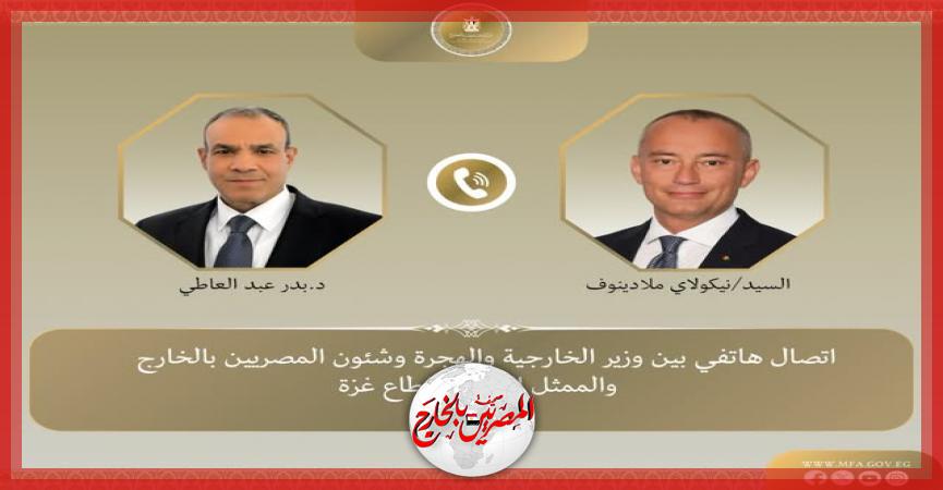 المصريين بالخارج
