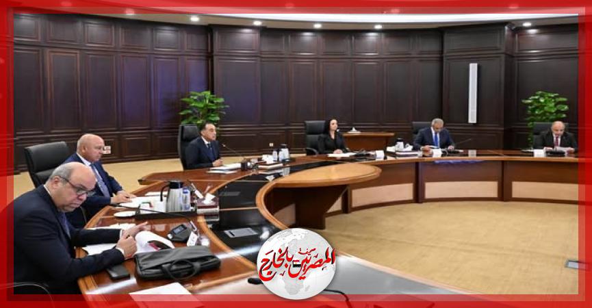 المصريين بالخارج