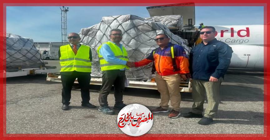 المصريين بالخارج