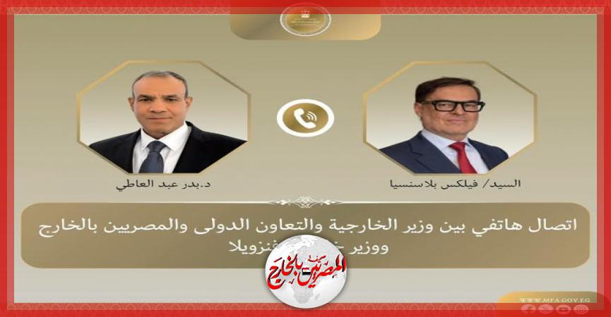 المصريين بالخارج