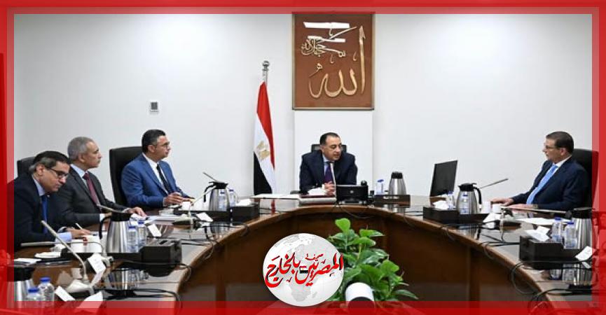 المصريين بالخارج