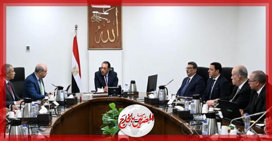 المصريين بالخارج
