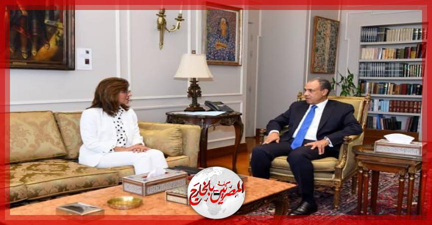 المصريين بالخارج