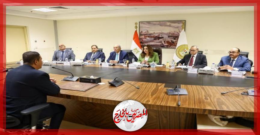 المصريين بالخارج