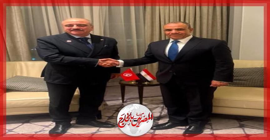 المصريين بالخارج
