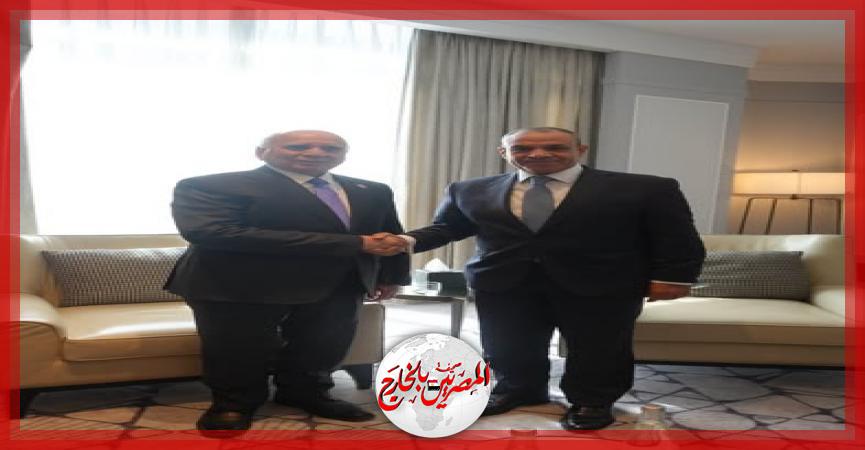 المصريين بالخارج