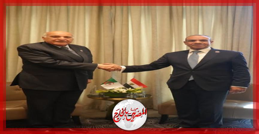 المصريين بالخارج