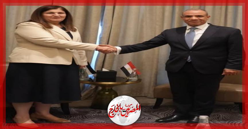 المصريين بالخارج