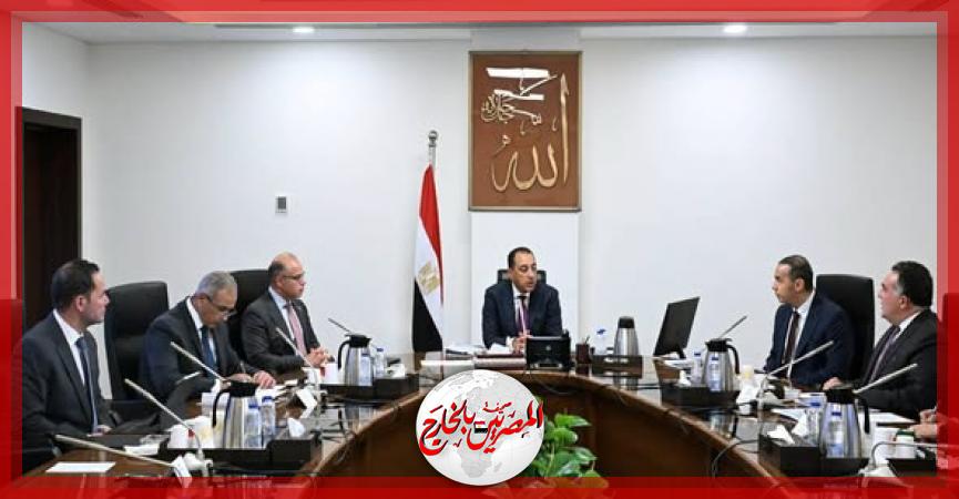 المصريين بالخارج