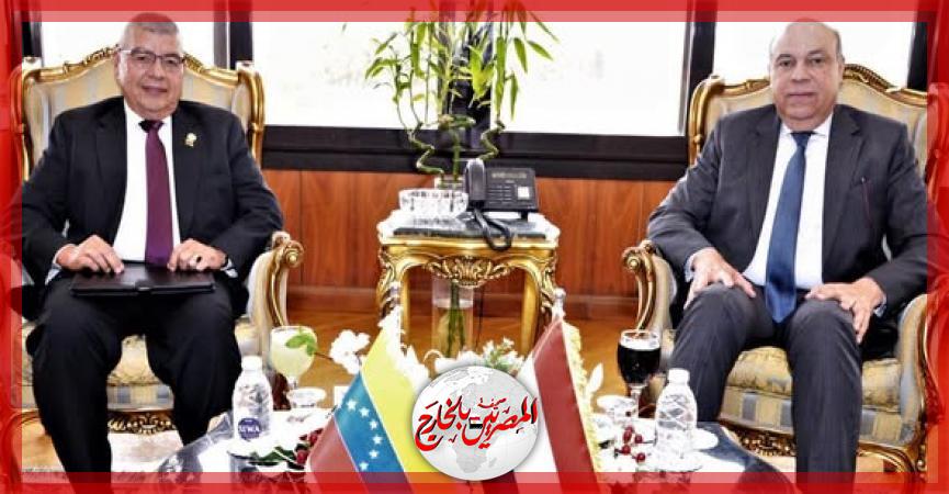 المصريين بالخارج