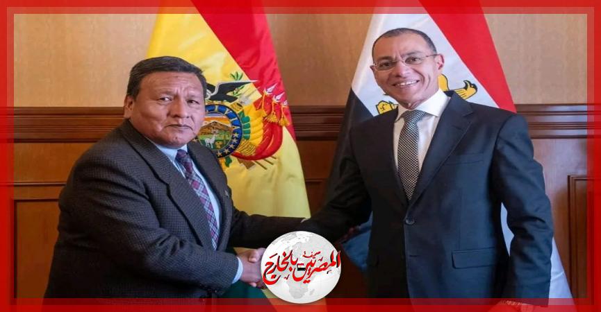 المصريين بالخارج