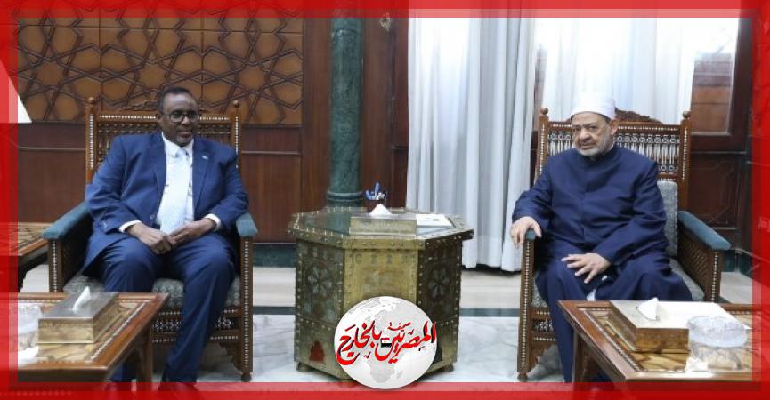 المصريين بالخارج