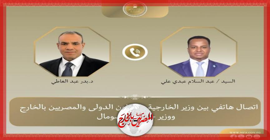 المصريين بالخارج