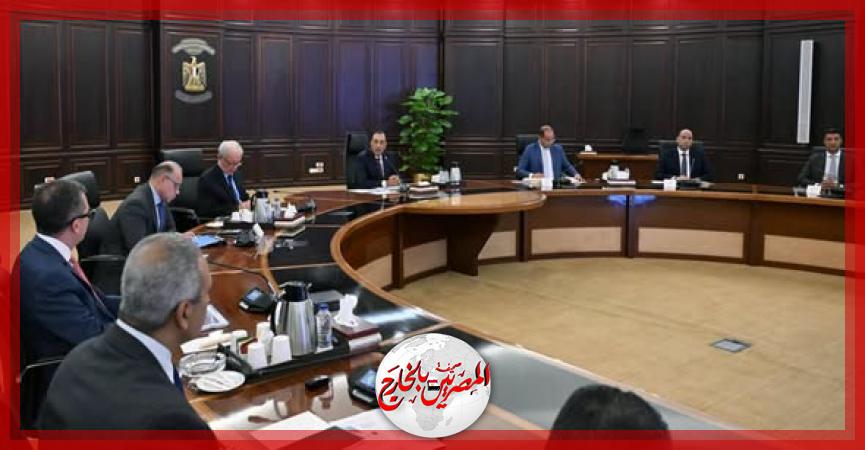 المصريين بالخارج