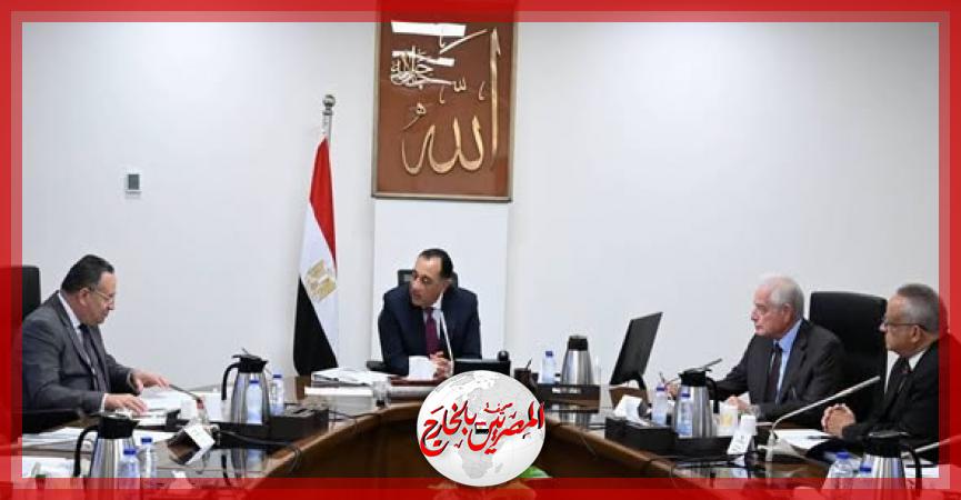 المصريين بالخارج