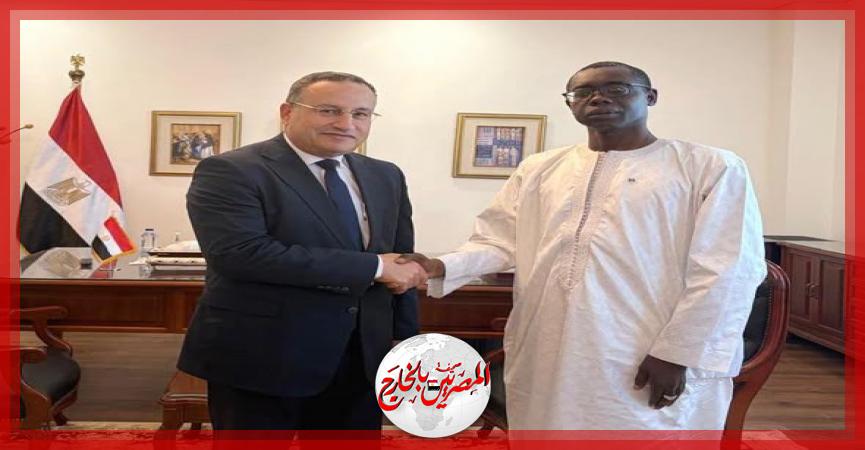 المصريين بالخارج