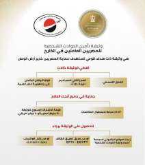 مظلة تأمينية جديدة لتعويض المصريين بالخارج عند الوفاة والفصل التعسفي والترحيل