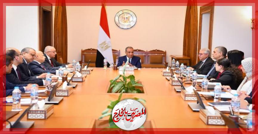 المصريين بالخارج