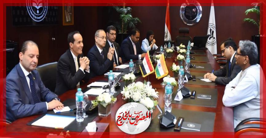 المصريين بالخارج