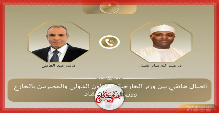 المصريين بالخارج