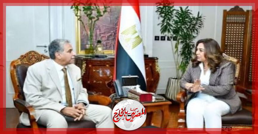 المصريين بالخارج