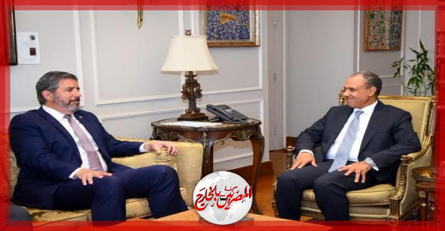 المصريين بالخارج