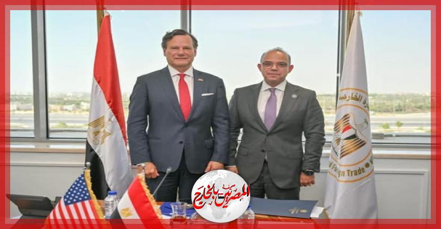المصريين بالخارج