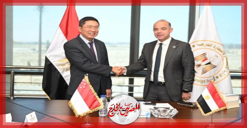 المصريين بالخارج