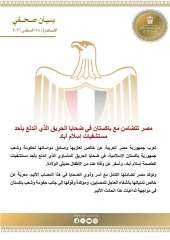 مصر تتضامن مع باكستان في ضحايا الحريق الذي اندلع بأحد مستشفيات إسلام... مصر تتضامن مع باكستان في ضحايا الحريق الذي اندلع بأحد مستشفيات إسلام آباد