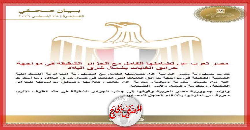 المصريين بالخارج