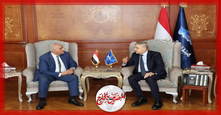 المصريين بالخارج