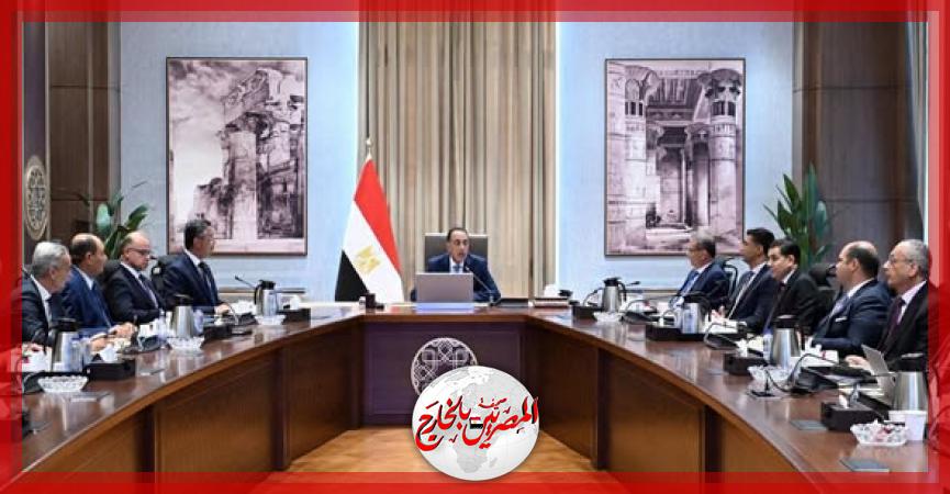 المصريين بالخارج