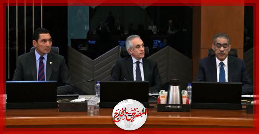 المصريين بالخارج