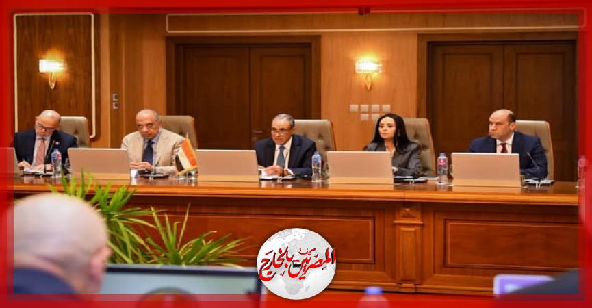 المصريين بالخارج