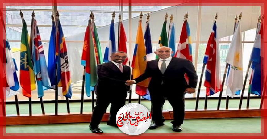 المصريين بالخارج