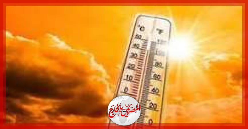المصريين بالخارج