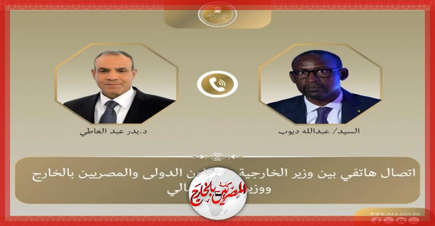 المصريين بالخارج