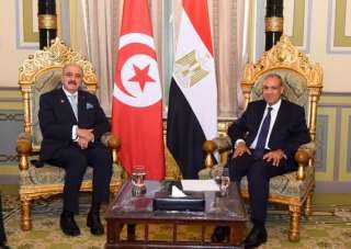 وزير الخارجية يلتقي نظيره التونسي بالقاهرة
