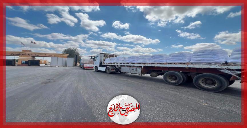 المصريين بالخارج