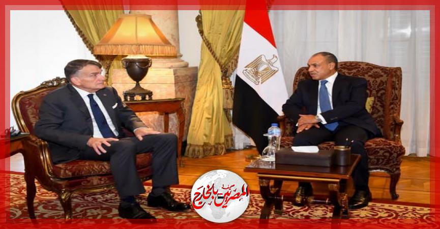 المصريين بالخارج