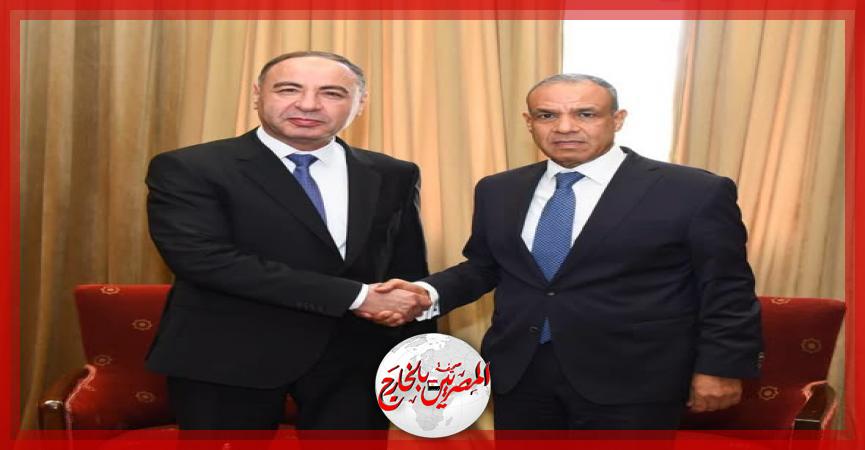 المصريين بالخارج