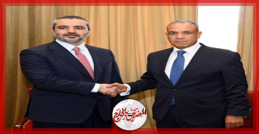 المصريين بالخارج