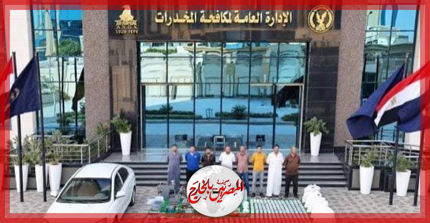 المصريين بالخارج
