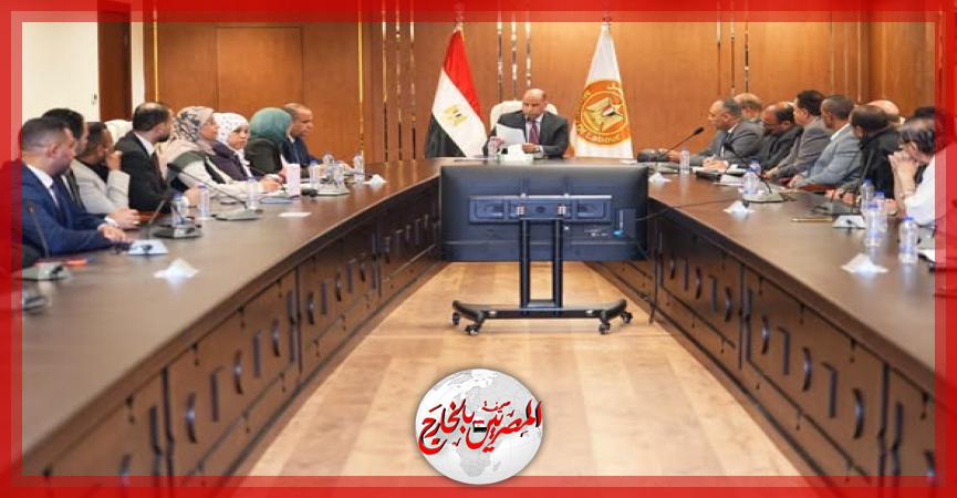 المصريين بالخارج