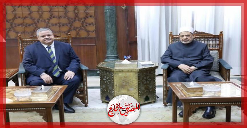 المصريين بالخارج
