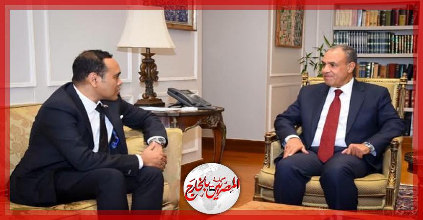 المصريين بالخارج