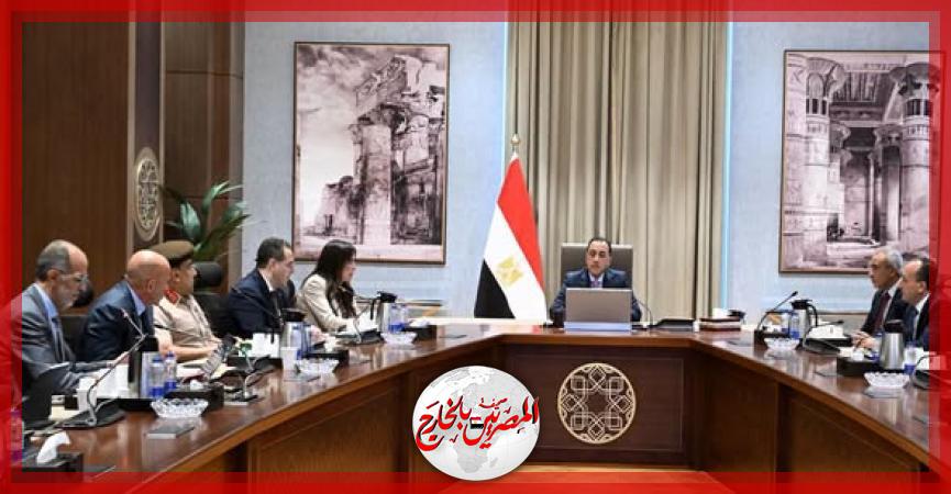 المصريين بالخارج