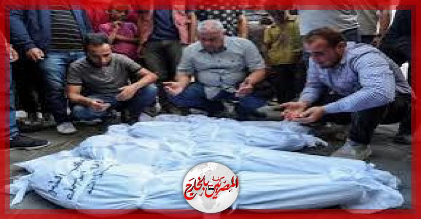 المصريين بالخارج