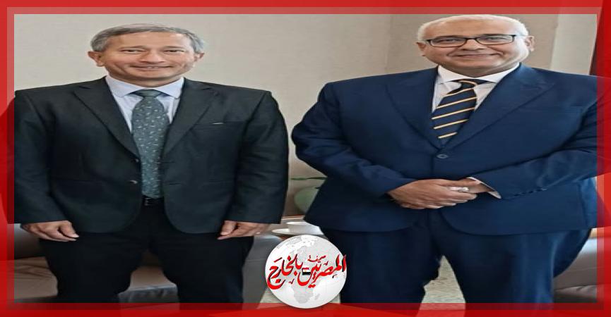 المصريين بالخارج