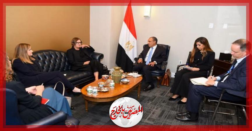 المصريين بالخارج